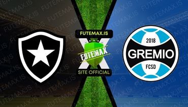 Assistir Futemax: Assistir Botafogo x Grêmio em HD 09/11/2023