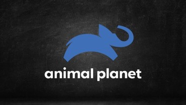 Animal Planet ao Vivo Online